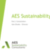 AES - Future Homes Standard Dec 2019.pdf