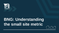 BNG: Understanding the small sites metric slides