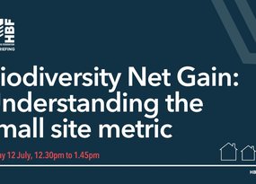 July 24 - HBF BNG webinar on small site metric