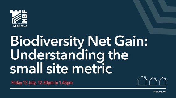 July 24 - HBF BNG webinar on small site metric